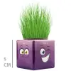 1 Adet Çim Adam Mini Küp Emoji Figürlü
