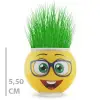 1 Adet Çim Adam Saksı Emoji Figürlü