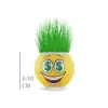 1 Adet Çim Adam Saksı Emoji Figürlü