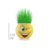 1 Adet Çim Adam Saksı Emoji Figürlü