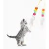 Kullanıma Uygun Elastik Yapışkanlı Kedi Oyun Oltası