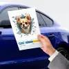 10 cm Cam Fulcar Chiuahua Araç Stickerı