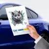 10x10 cm Cam Fulcar Kedi Tasarımlı Araç Stickerı