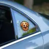 10x10 cm Cam Fulcar Köpek Tasarımlı Araç Stickerı