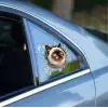 10 cm Cam Fulcar Siamesse Araç Stickerı