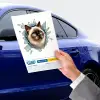 10 cm Cam Fulcar Siamesse Araç Stickerı