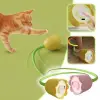 Silikon Hareketli Çiçek Kedi Oyuncağı