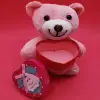 25 cm Kullanıma Uygun Hediyelik Pembe Kutulu Ayıcık