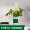 15.5 cm Kullanıma Uygun Hızlı Bitki Yetiştirme Saksısı