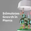 15.5 cm Kullanıma Uygun Hızlı Bitki Yetiştirme Saksısı