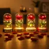 10 x 18 cm Kullanıma Uygun İncili Ledli Gül Fanus