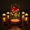 10 x 18 cm Kullanıma Uygun İncili Ledli Gül Fanus