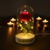 10 x 18 cm Kullanıma Uygun İncili Ledli Gül Fanus