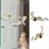 Kullanıma Uygun İnteraktif Kartal Kedi Oyuncağı