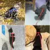 Mavi Kullanıma Uygun Kedi Boyun ve Göğüs Tasması