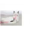 Kullanıma Uygun Kedi Gezdirme Göğüs Tasması