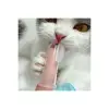 Silikon Kedi Köpek Diş Temizleme Fırçası