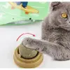 5 cm 1 Adet Kullanıma Uygun Kedi Nanesi Oyun Topu