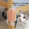 Kullanıma Uygun Kedi Otu Hazneli Kedi Kaşınma Aparatı
