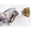 4 cm Kullanıma Uygun Kedi Otu Oyun Topu