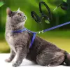 120cm Mavi Kullanıma Uygun Kedi Tasması