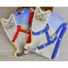120cm Mavi Kullanıma Uygun Kedi Tasması