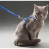 120cm Mavi Kullanıma Uygun Kedi Tasması