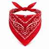 Kullanıma Uygun Kırmızı Kovboy Fuları Çocuk Bandana