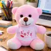 25 cm PEMBE 23 cm Atkılı Peluş Ayıcık Karışık Renkli