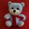 25 cm Oyuncak Mavi Peluş Ayıcık
