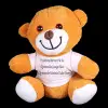 11 Cm 23 cm Atkılı Peluş Ayıcık Karışık Renkli