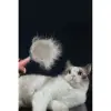 Kullanıma Uygun Otomatik Tuşlu Kendini Temizleyen Kedi Köpek Tarağı