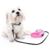 3 METRE Ölçülü Otomatik Uzayan Köpek Tasması