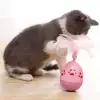 Oyuncak Pati Desenli Tüylü Hacı Yatmaz