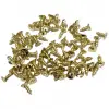 1000 Adet Sarı Klips Vidası 2,3x6 mm YHB, İthal Konik Başlı Kutu Ayak, Askı, Mini Vida