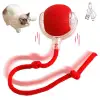 Yeşil Plastik Şarjlı Kedi Oyuncağı