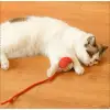 Yeşil Plastik Şarjlı Kedi Oyuncağı