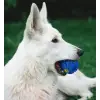 Mavi 1 Adet Kullanıma Uygun SESLI MAMA OYUN TOPU