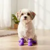 4 adet Kullanıma Uygun Silikon Kedi Köpek Ayakkabısı