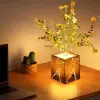 11,8 cm 3 adet Kullanıma Uygun Siyah Saksılı LED Yapay Çiçek