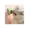 Kullanıma Uygun Yengeç Kedi Otu Oyun Topu