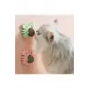 Kullanıma Uygun Yengeç Kedi Otu Oyun Topu