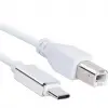 Type C Yazıcı Kablosu 1 M