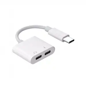 ZR293 Ftac42 Type-C 2 İn 1 Converter Adaptör