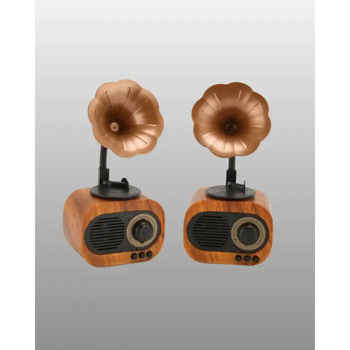 Taşınabilir Retro Hoparlör 5W Bluetooth FM Radyo