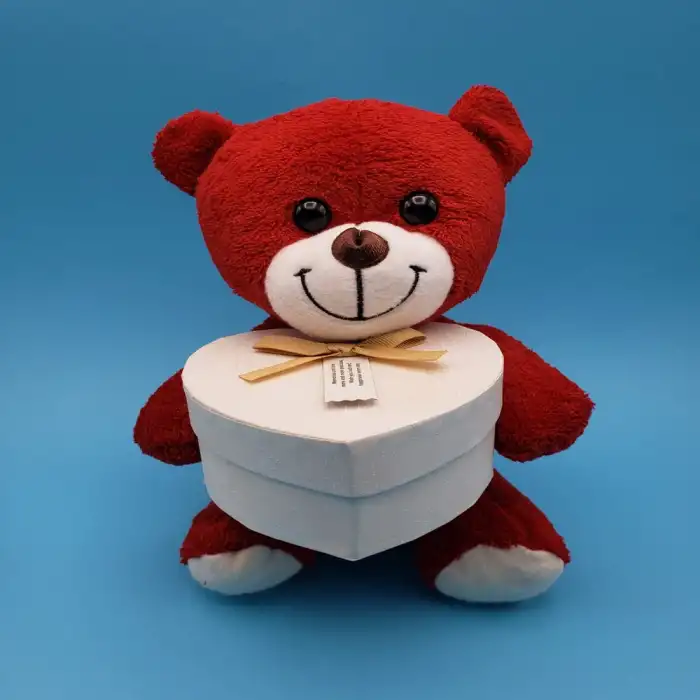 25 Cm Kırmızı Kalp Kutulu Ayı