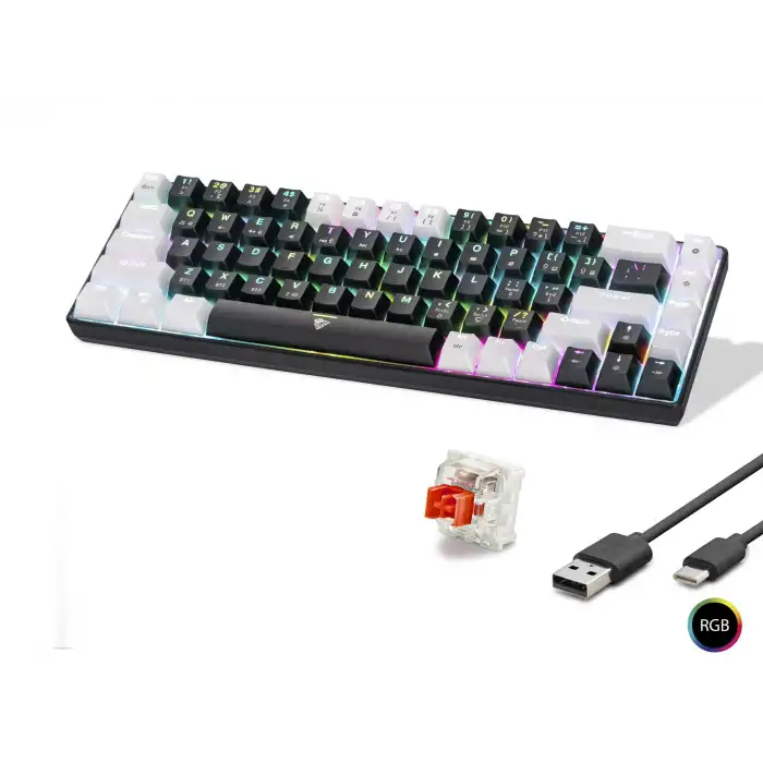 RGB Mekanik Klavye 68 Tuş Tri Mode Siyah Beyaz