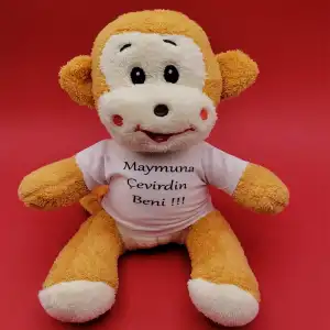 11 X 16 Cm 25 Cm Oyuncak Maymuna Çevirdin Beni Temalı