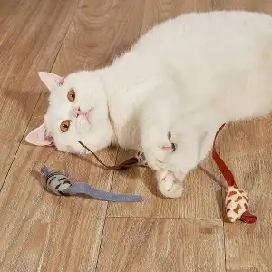 3 Adet Peluş Fare Kedi Oyuncağı