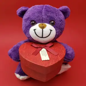 11 x 5 Cm 25 Cm 23 cm Atkılı Peluş Ayıcık Karışık Renkli